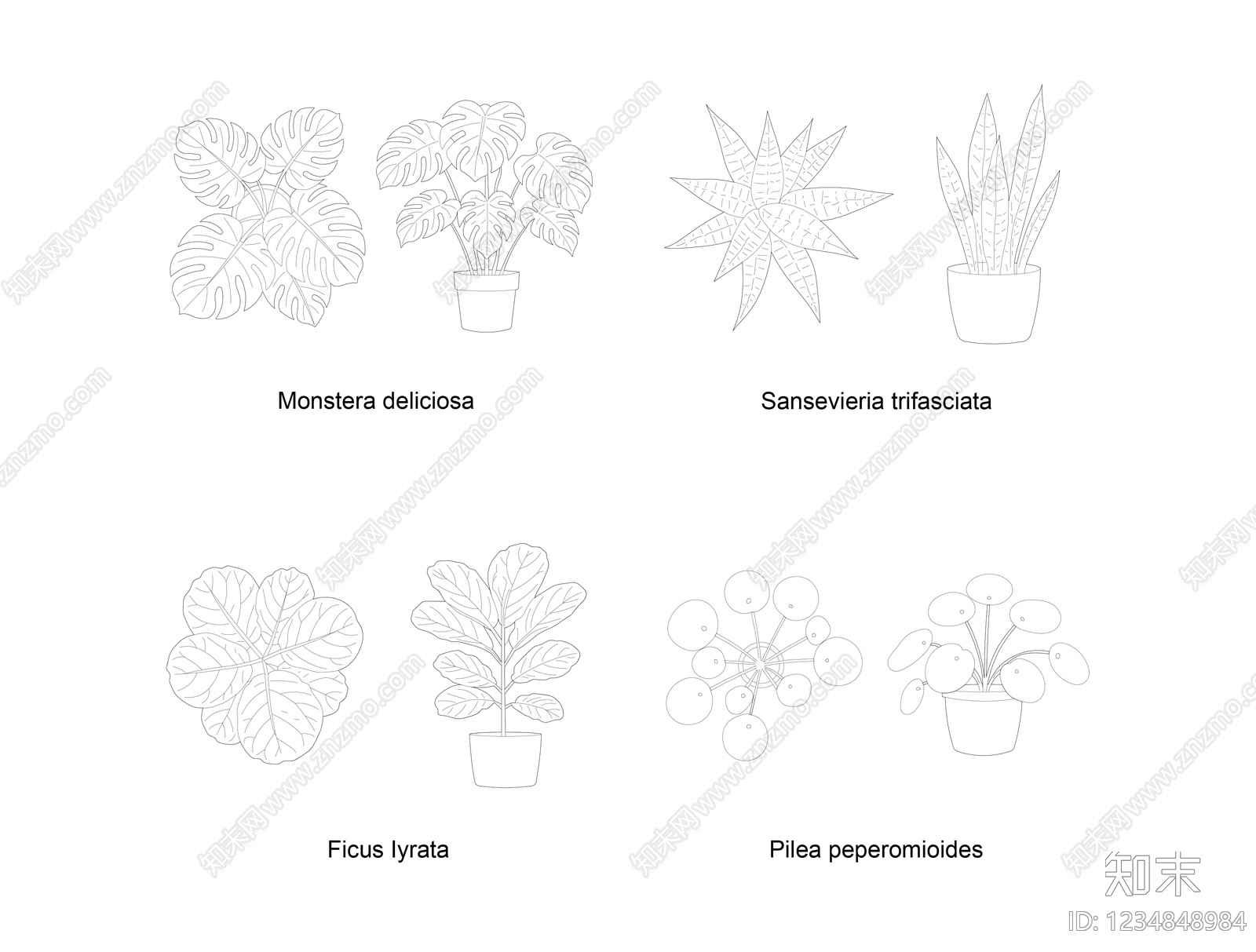 绿植CAD图纸
