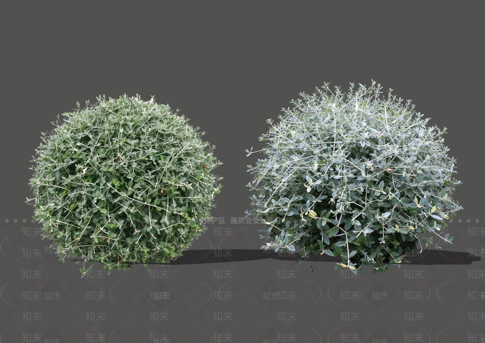 灌木SU模型下载【ID:1234876415】