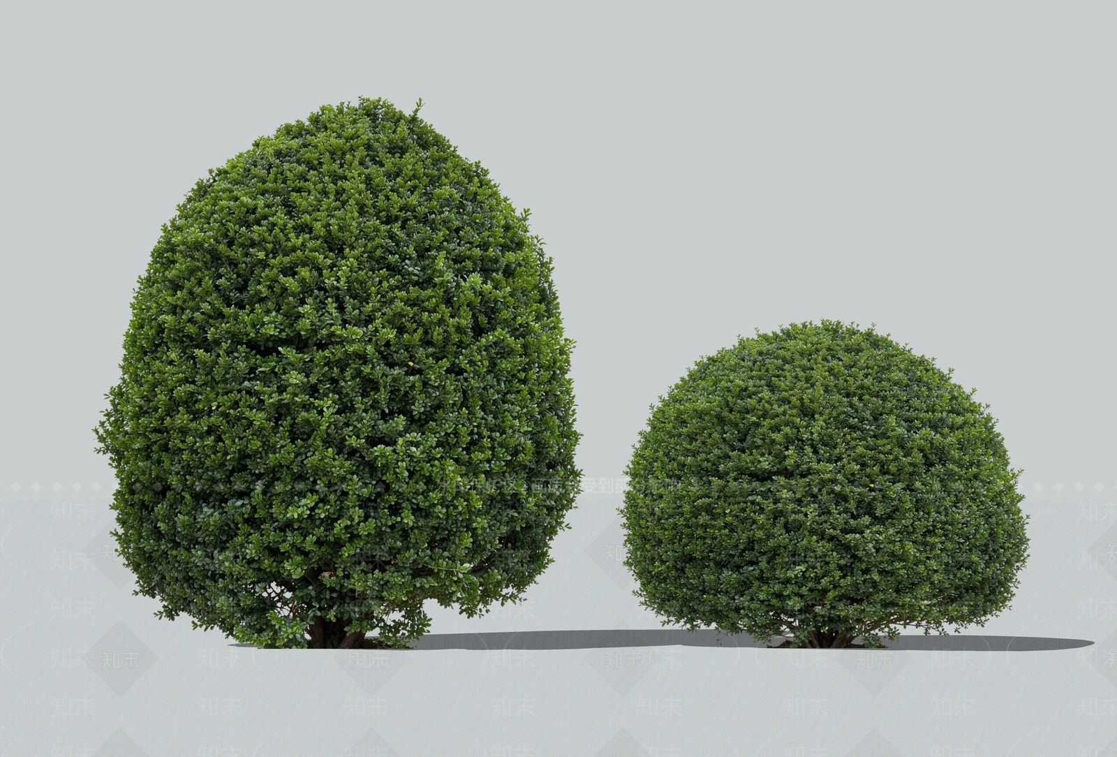 灌木SU模型下载【ID:1234885910】