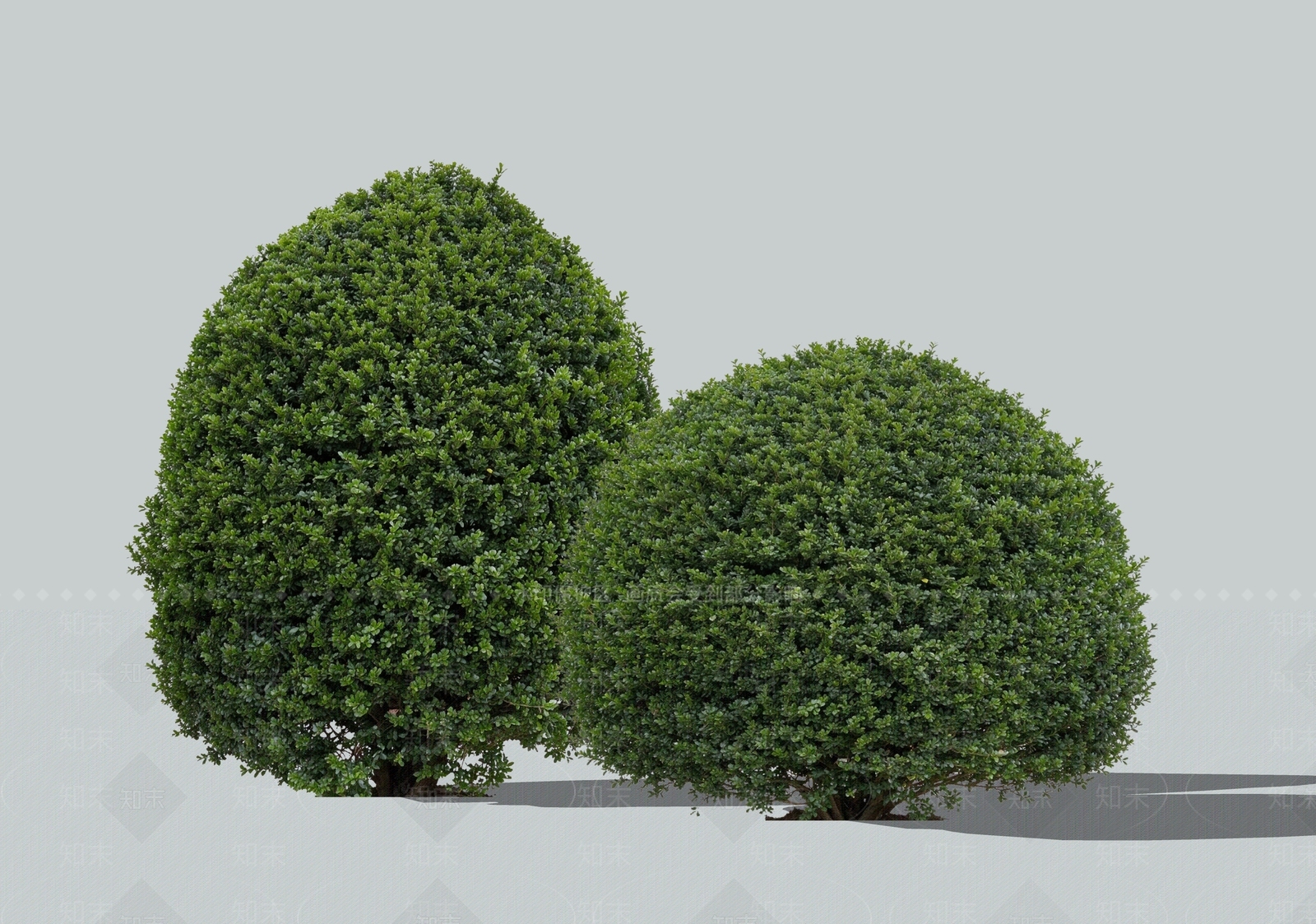 灌木SU模型下载【ID:1234885910】