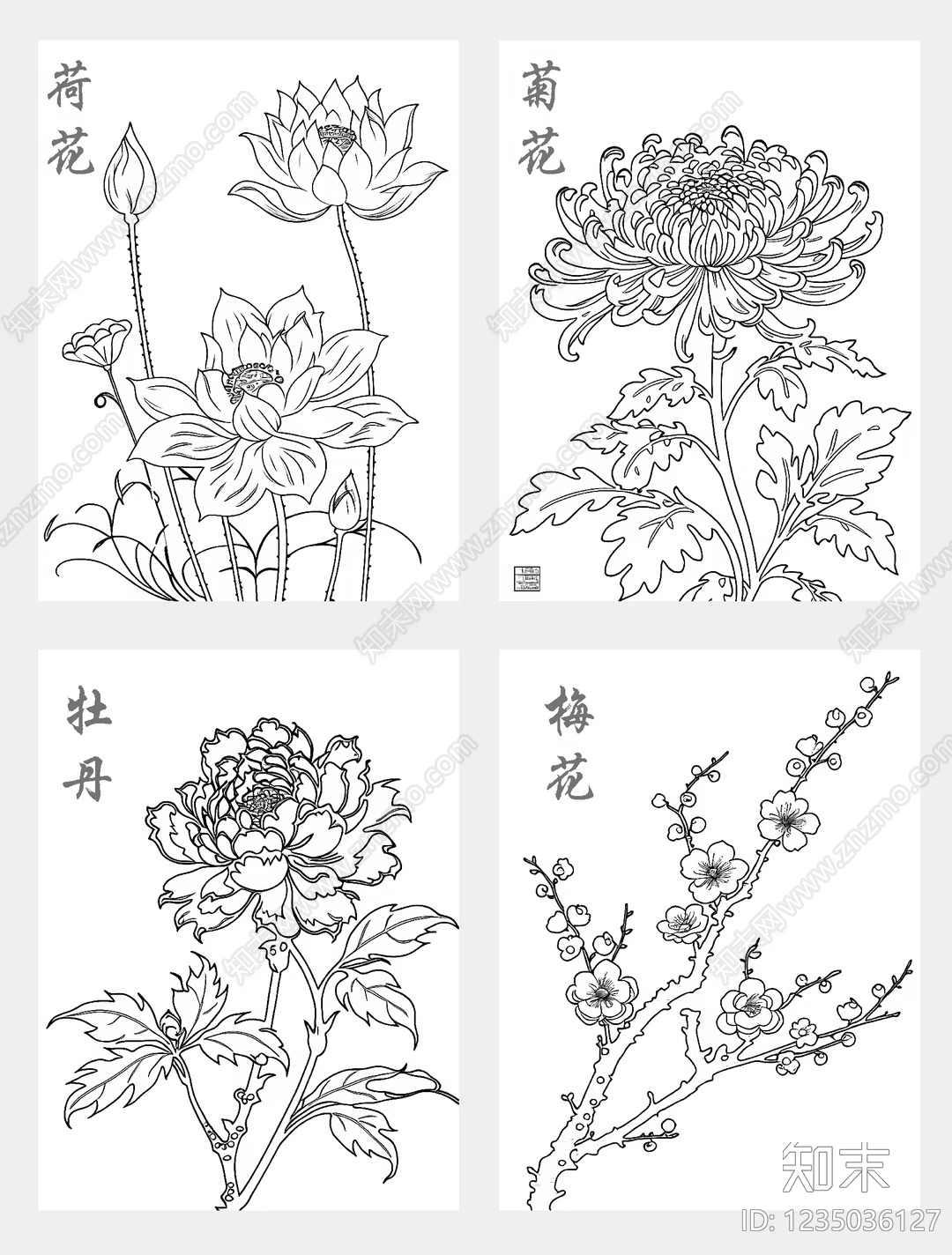 花CAD图纸