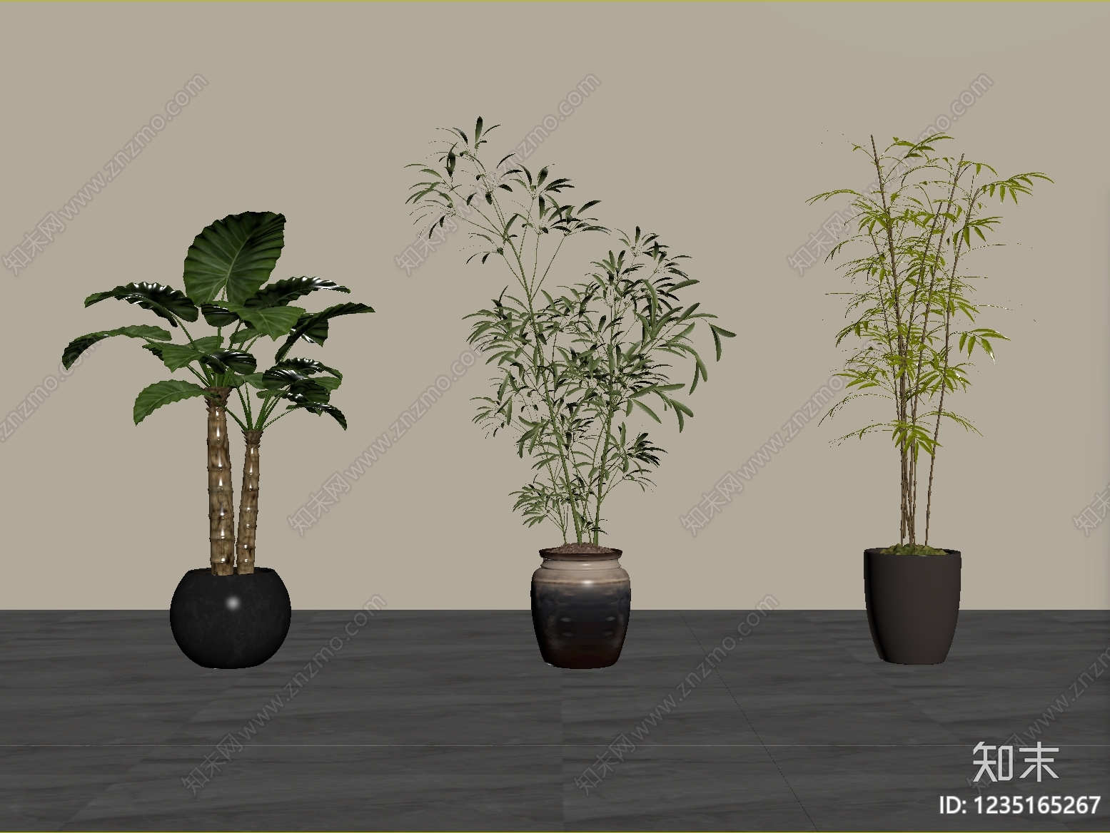 极简盆栽3D模型下载【ID:1235165267】