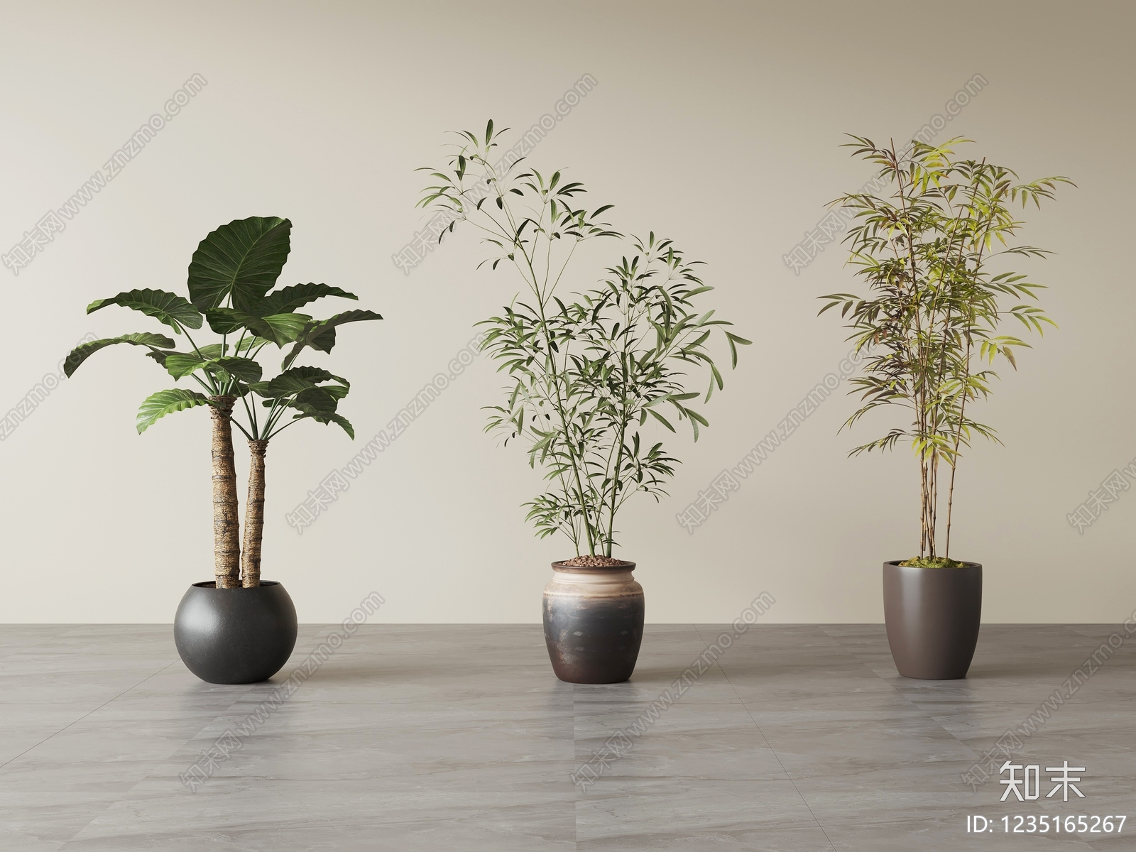 极简盆栽3D模型下载【ID:1235165267】