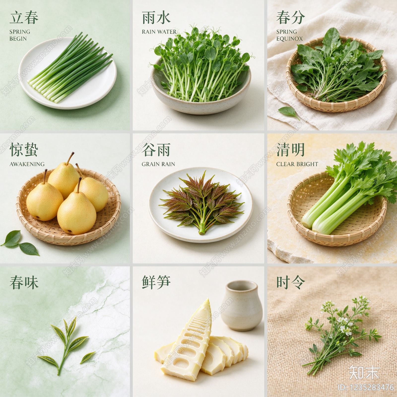 其他风景贴图下载【ID:1235283476】