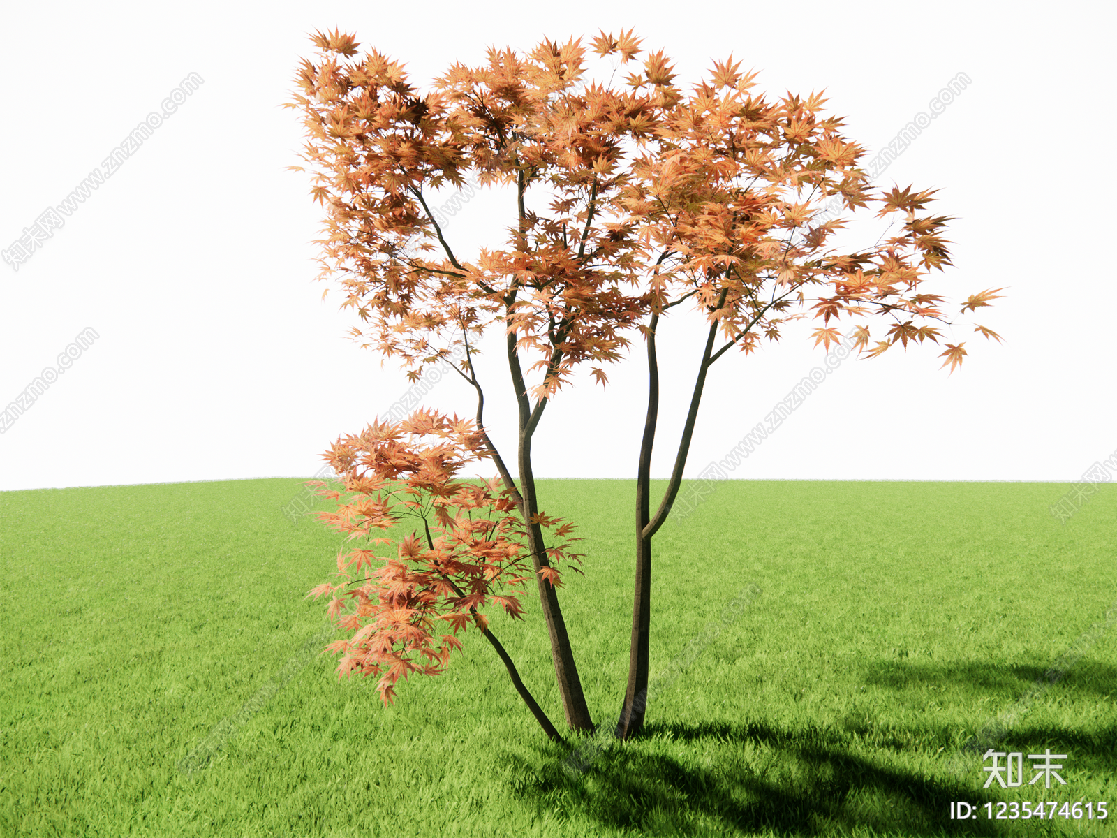 日式乔木SU模型下载【ID:1235474615】
