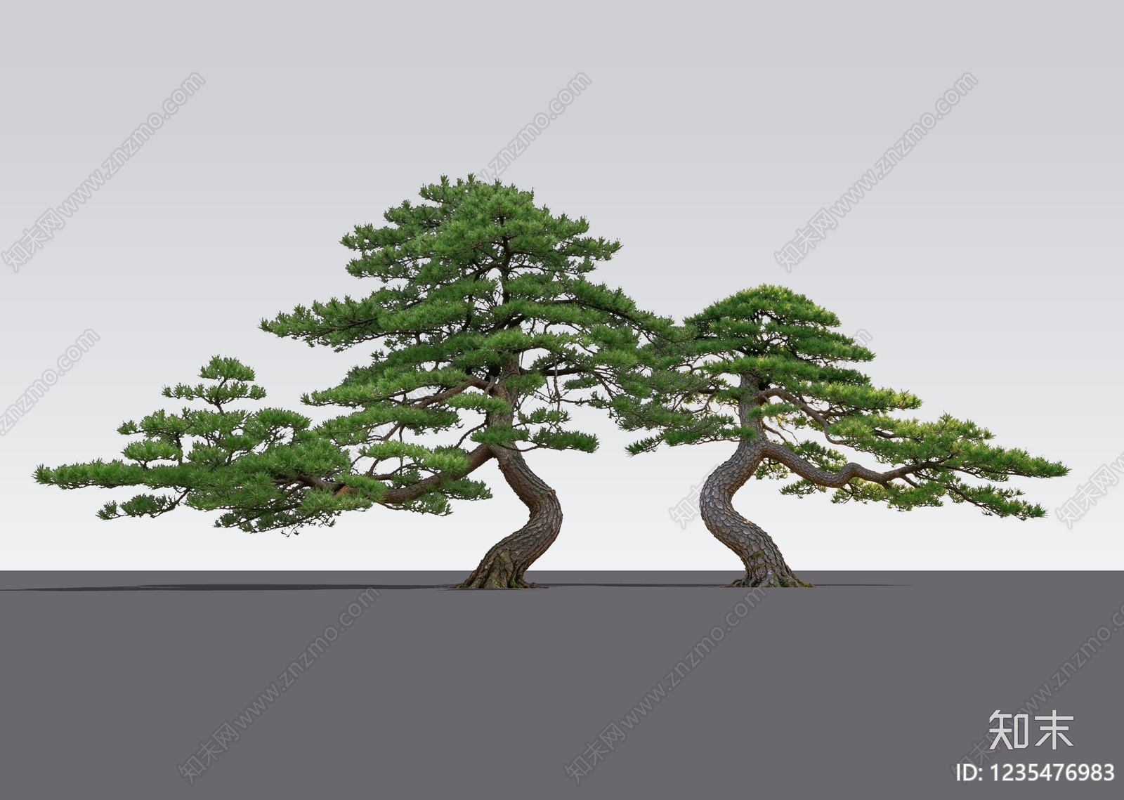 禅意乔木SU模型下载【ID:1235476983】