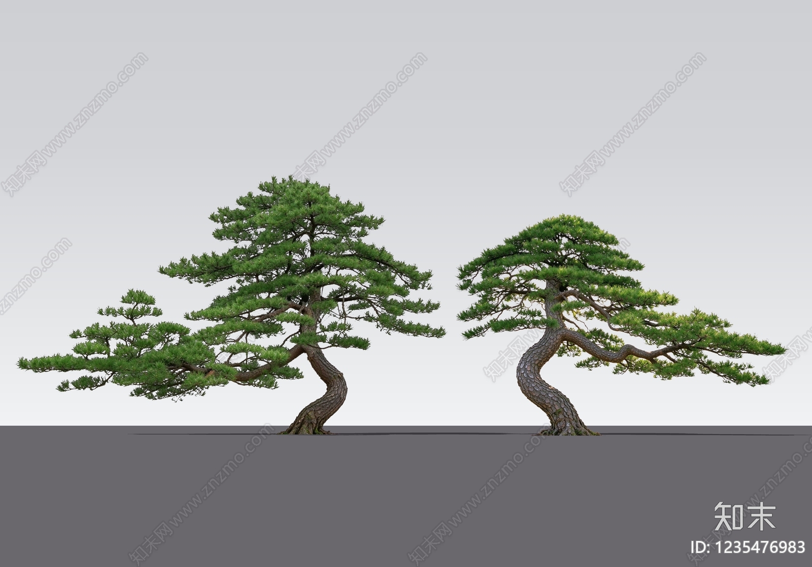 禅意乔木SU模型下载【ID:1235476983】