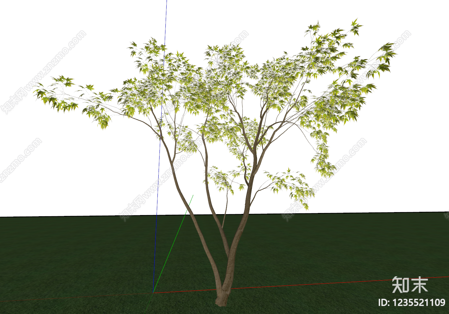 乔木SU模型下载【ID:1235521109】