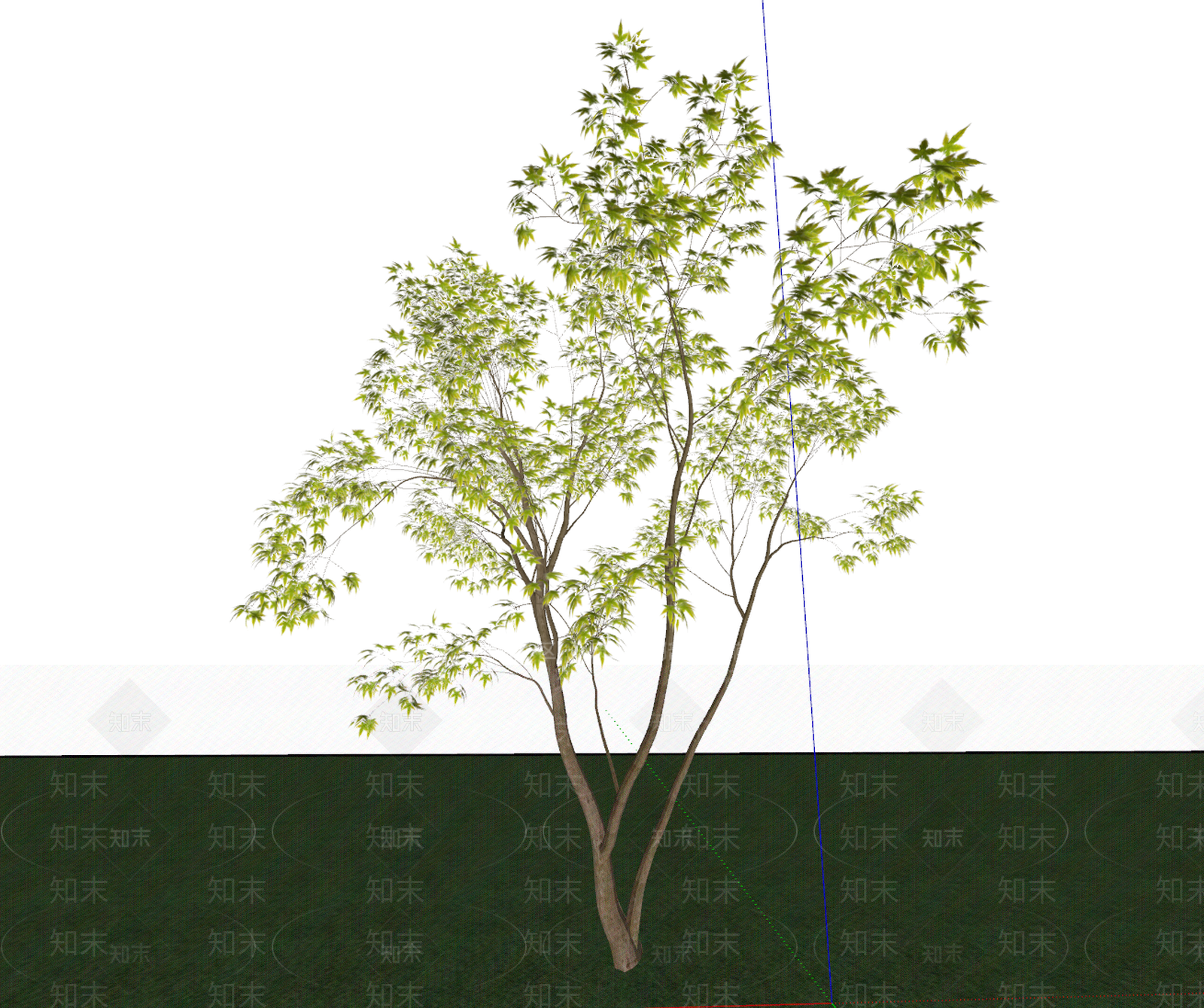 乔木SU模型下载【ID:1235521109】
