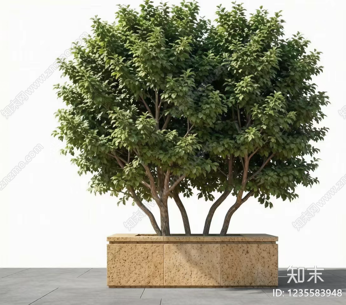 树池CAD图纸