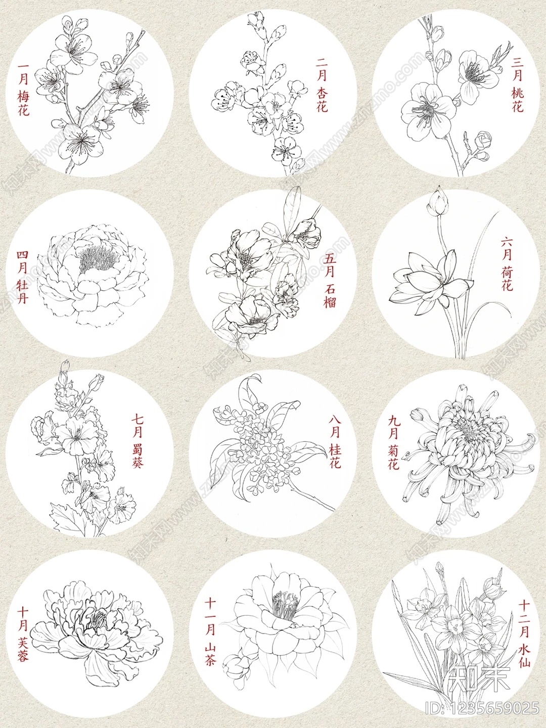 综合植物图库CAD图纸