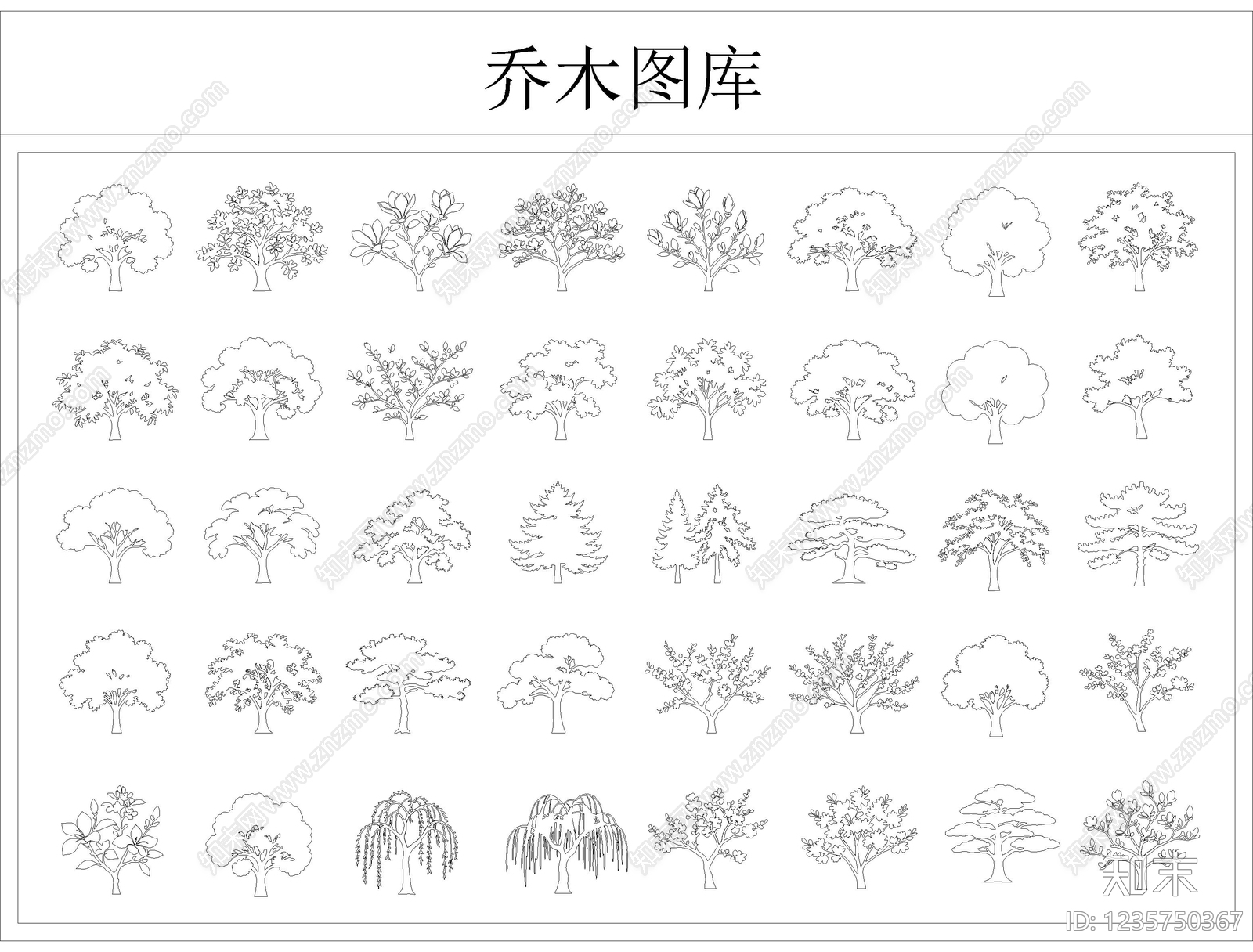 乔木种植cad施工图下载【ID:1235750367】