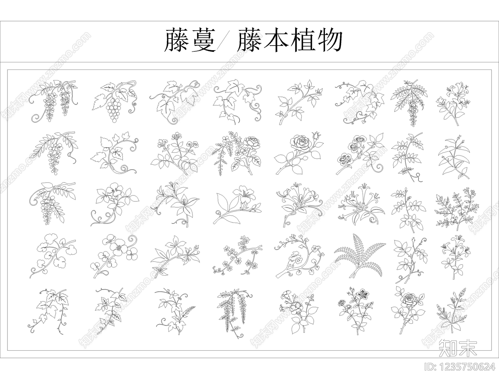 攀援植物cad施工图下载【ID:1235750624】