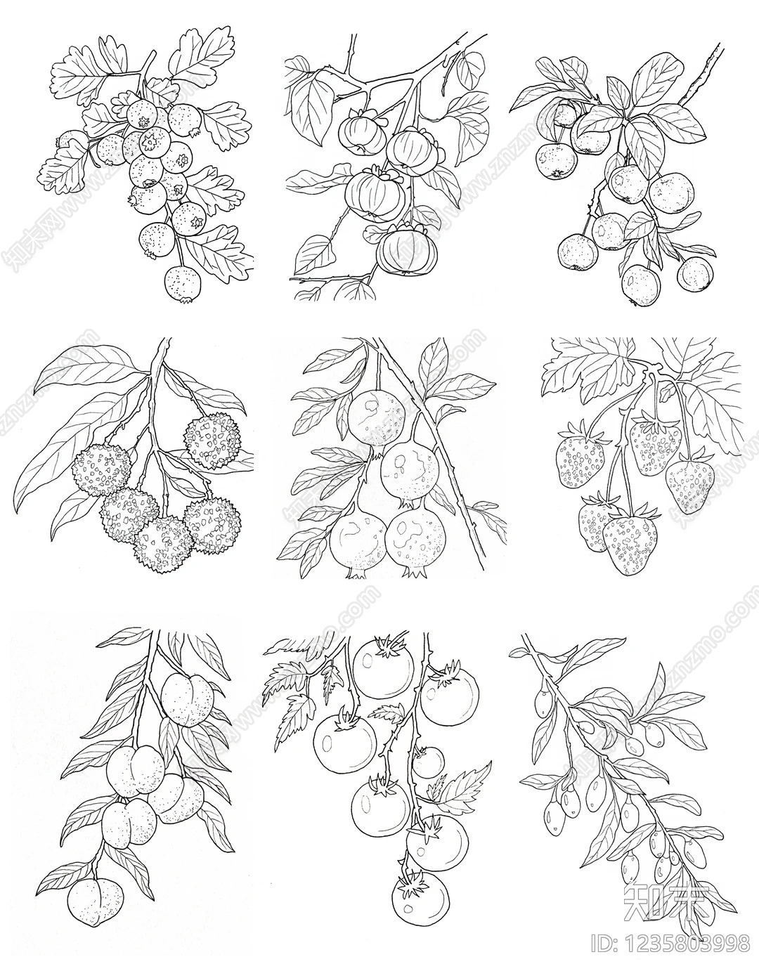 综合植物图库cad施工图下载【ID:1235803998】