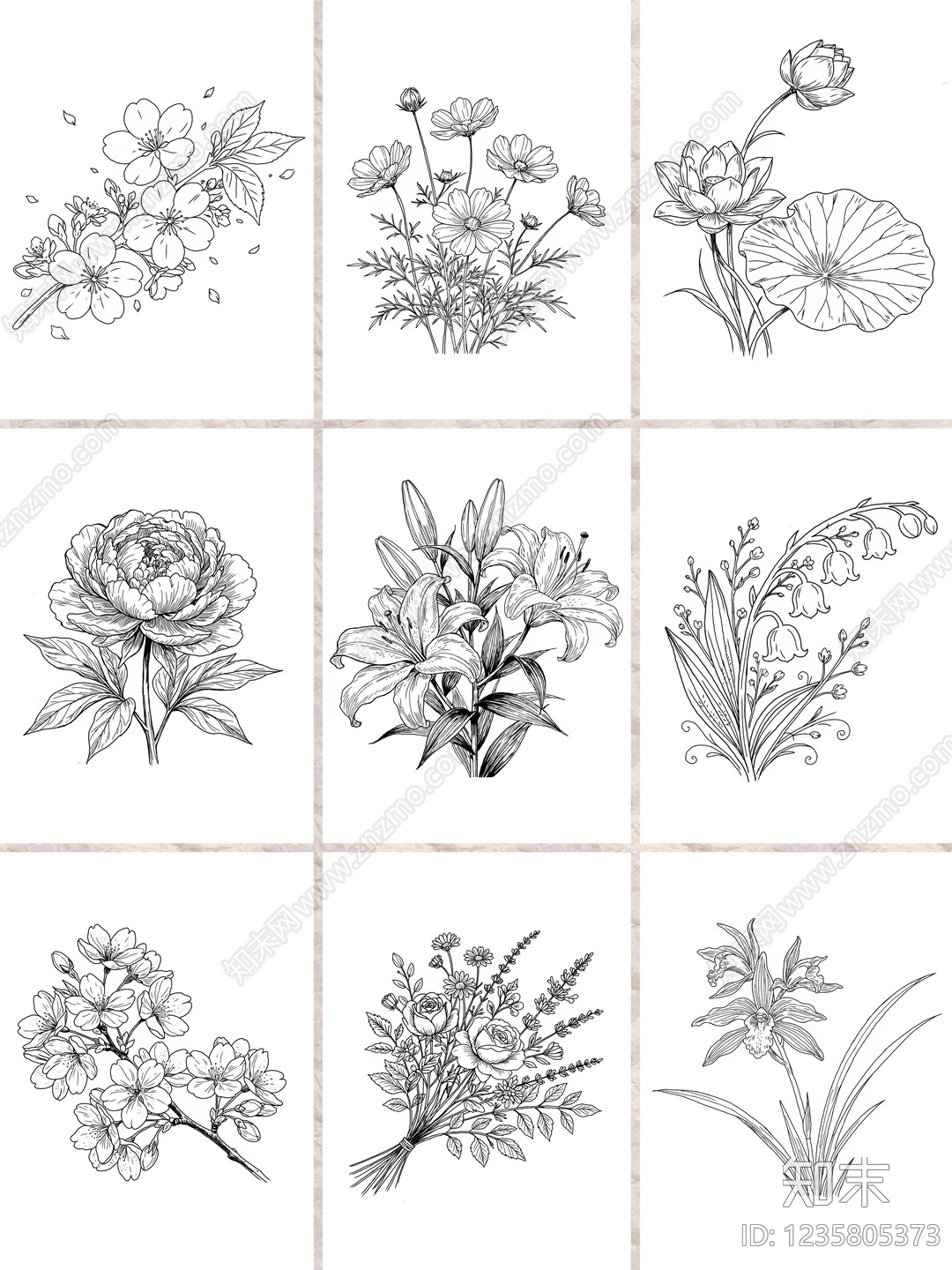 绿植CAD图纸