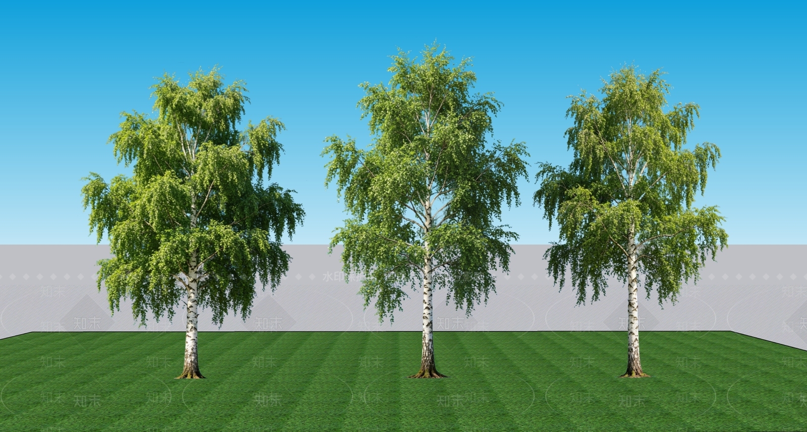极简乔木SU模型下载【ID:1235822299】