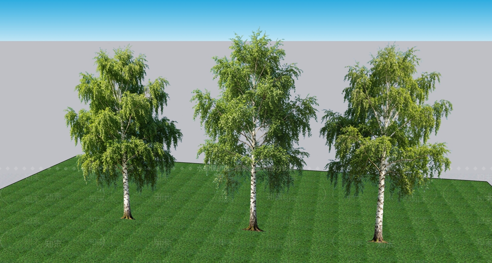 极简乔木SU模型下载【ID:1235822299】
