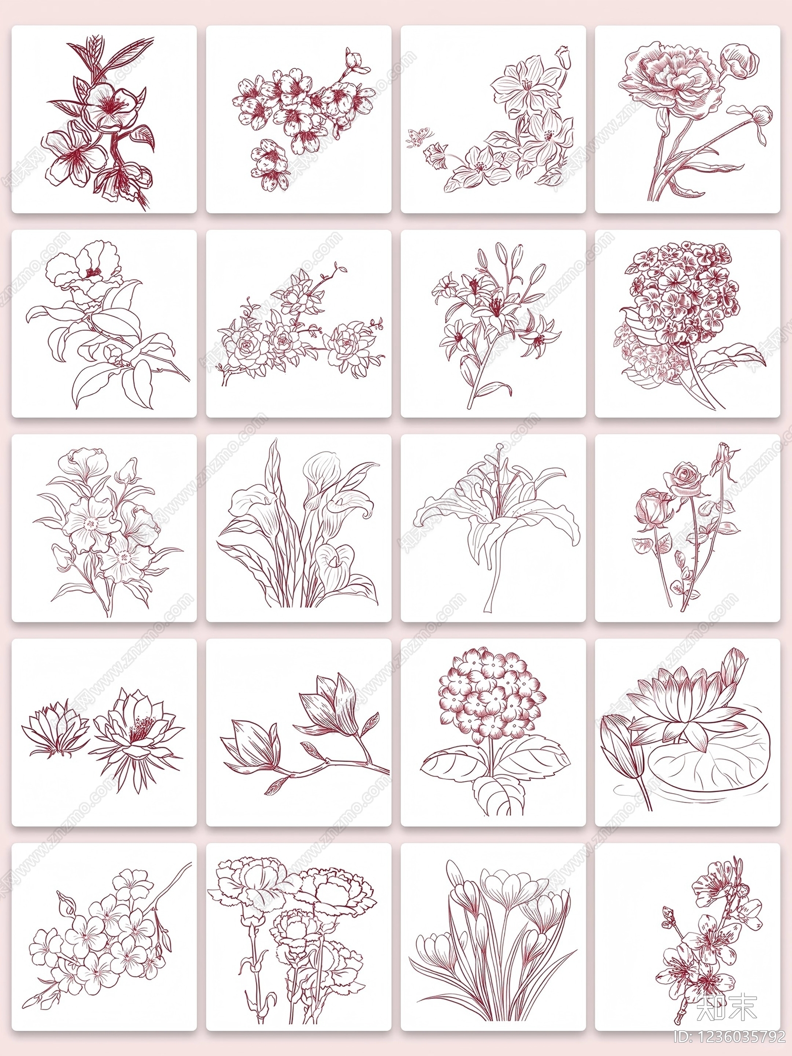 综合植物图库CAD图纸