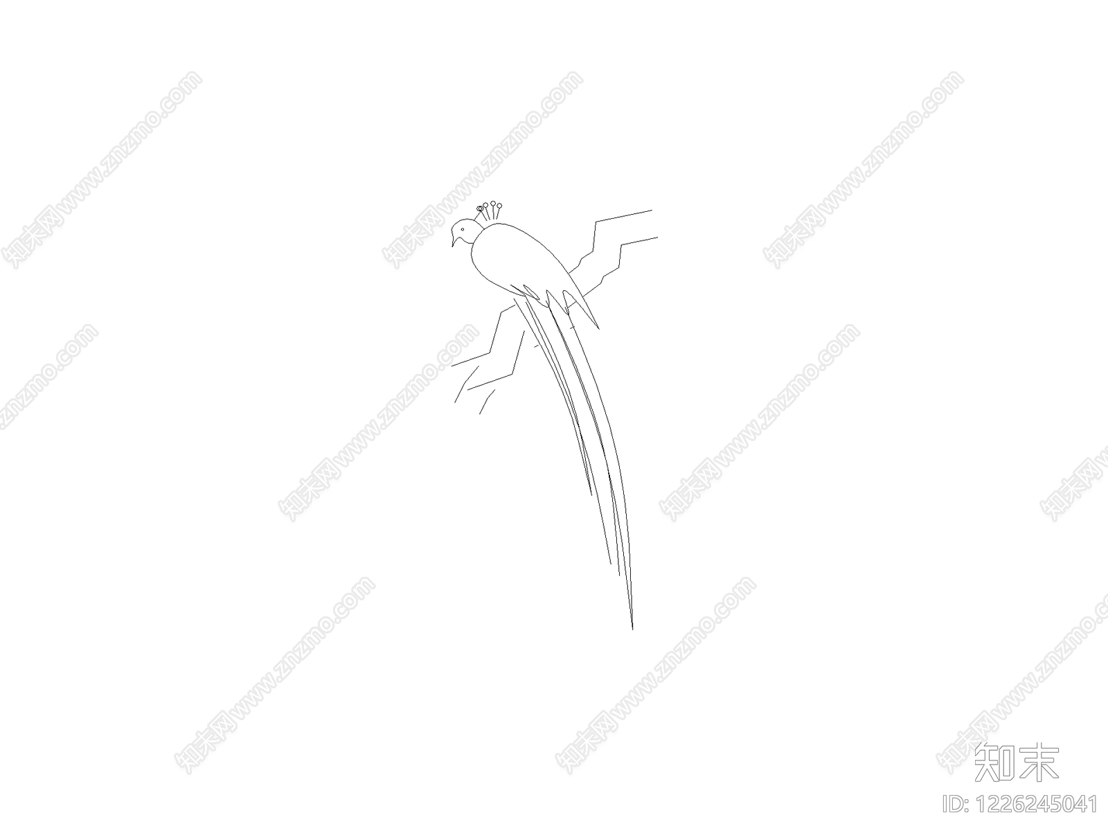 动物CAD图纸