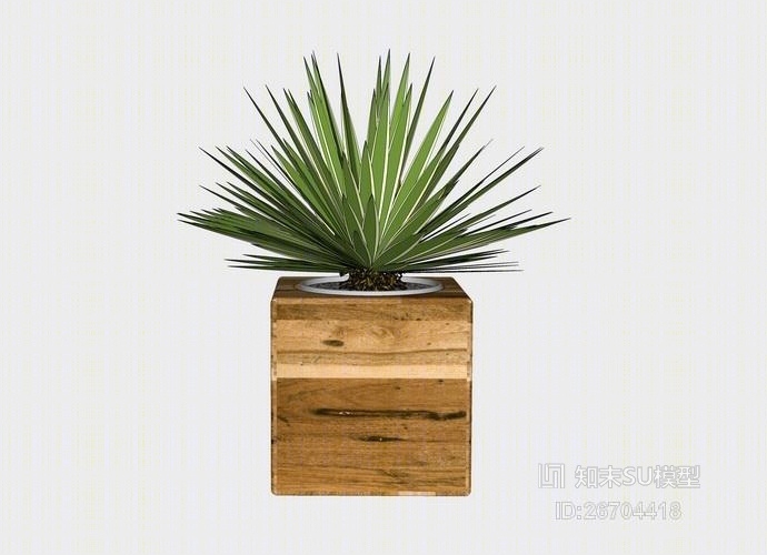 精品免费室内盆栽SU模型下载【ID:26704418】
