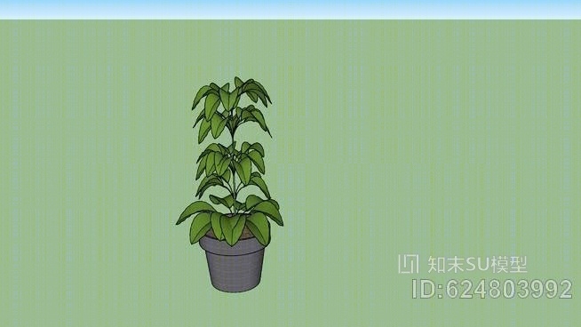 室内植物SU模型下载【ID:624803992】