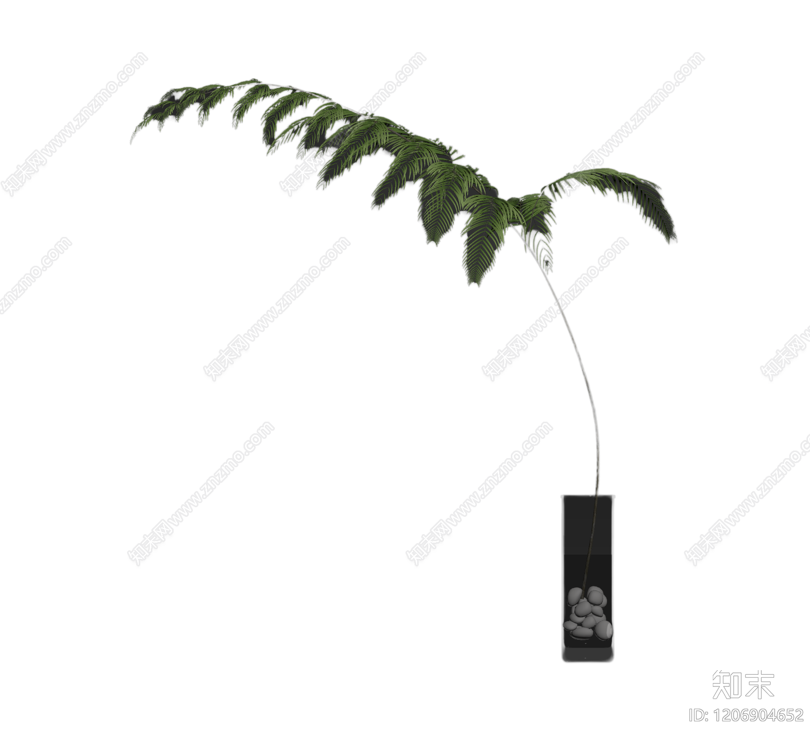 盆栽蕨类植物3D模型下载【ID:1206904652】