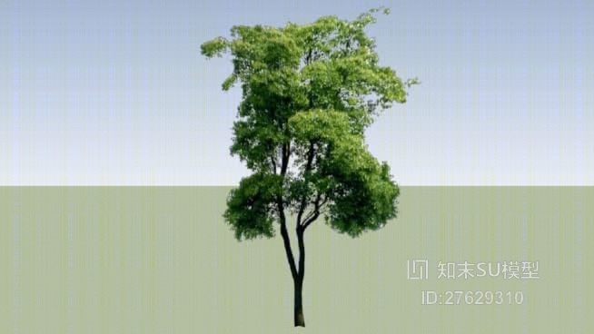 树SU模型下载【ID:27629310】
