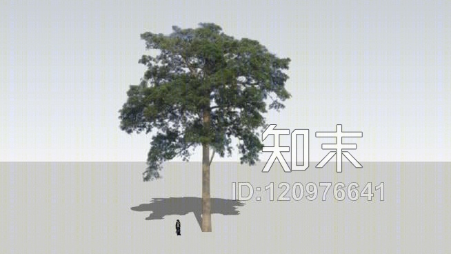 白刺树SU模型下载【ID:120976641】