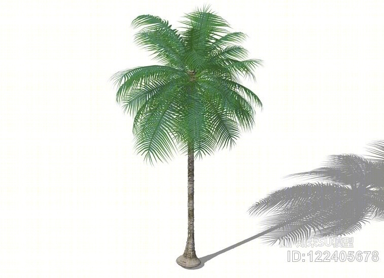 3D棕榈树SU模型下载【ID:122405678】