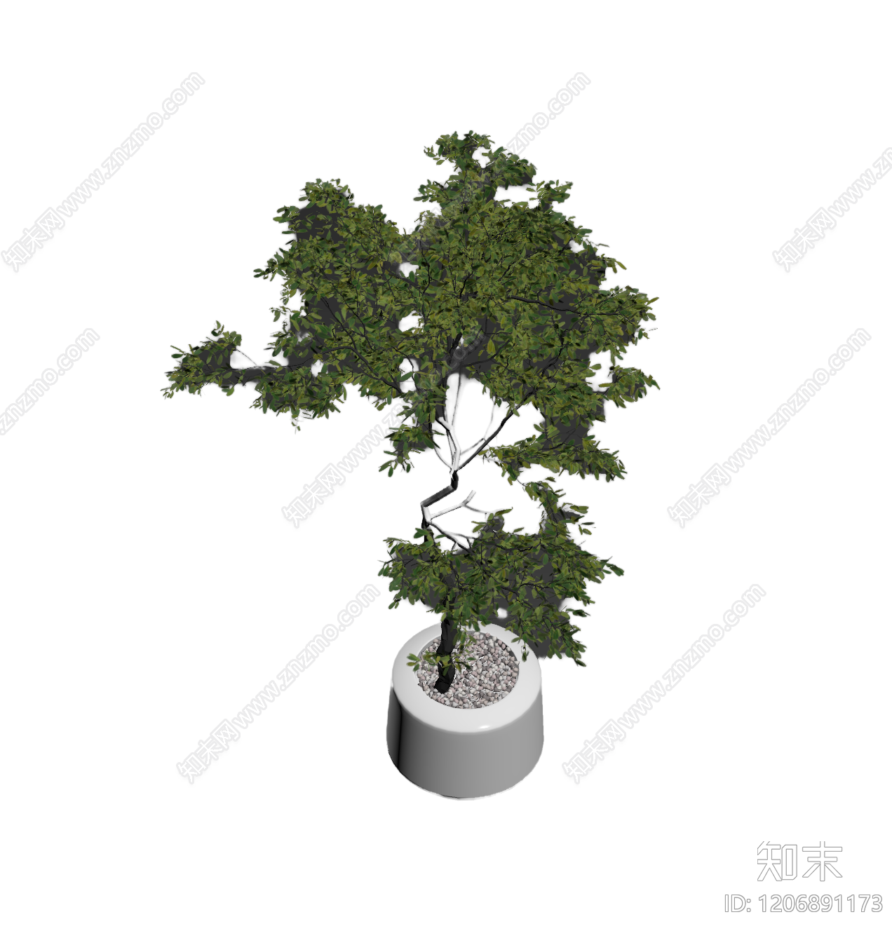 盆栽植物装饰3D模型下载【ID:1206891173】