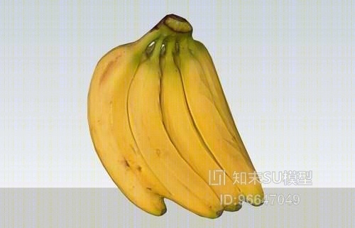 香蕉SU模型下载【ID:96647049】