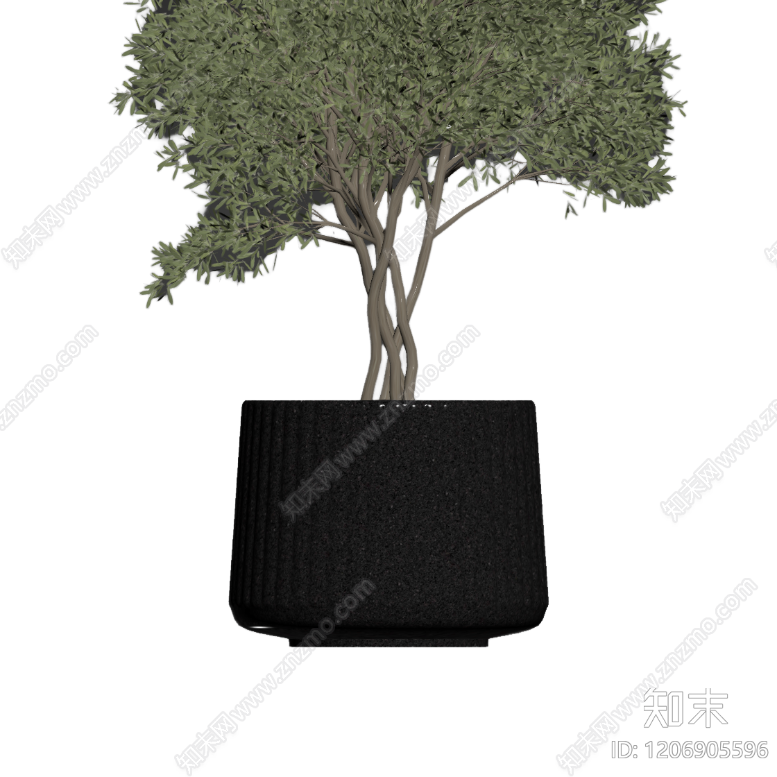 盆栽植物组合3D模型下载【ID:1206905596】