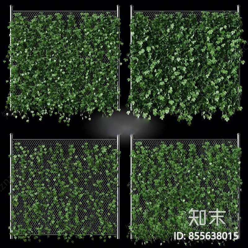 现代流行藤蔓爬山虎植物组合国外下载3D模型下载【ID:855638015】