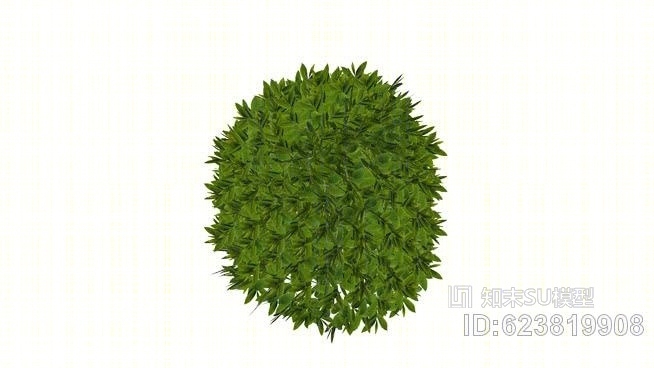 绣线菊SU模型下载【ID:623819908】