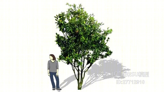 树SU模型下载【ID:27712910】