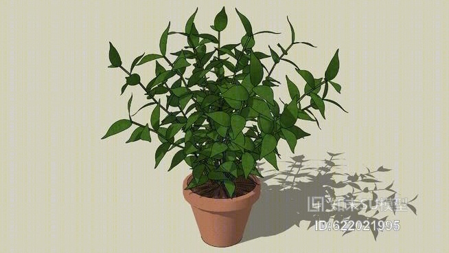 植物SU模型下载【ID:622021995】