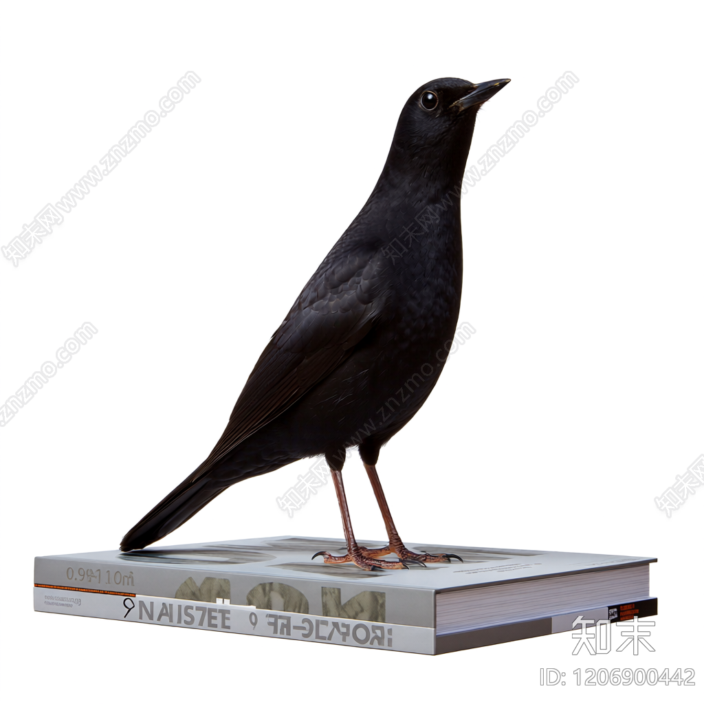 黑色鸟形雕塑装饰3D模型下载【ID:1206900442】