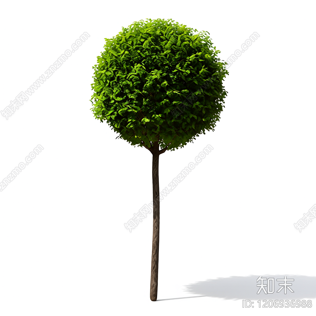 球冠树造型植物3D模型下载【ID:1206936988】