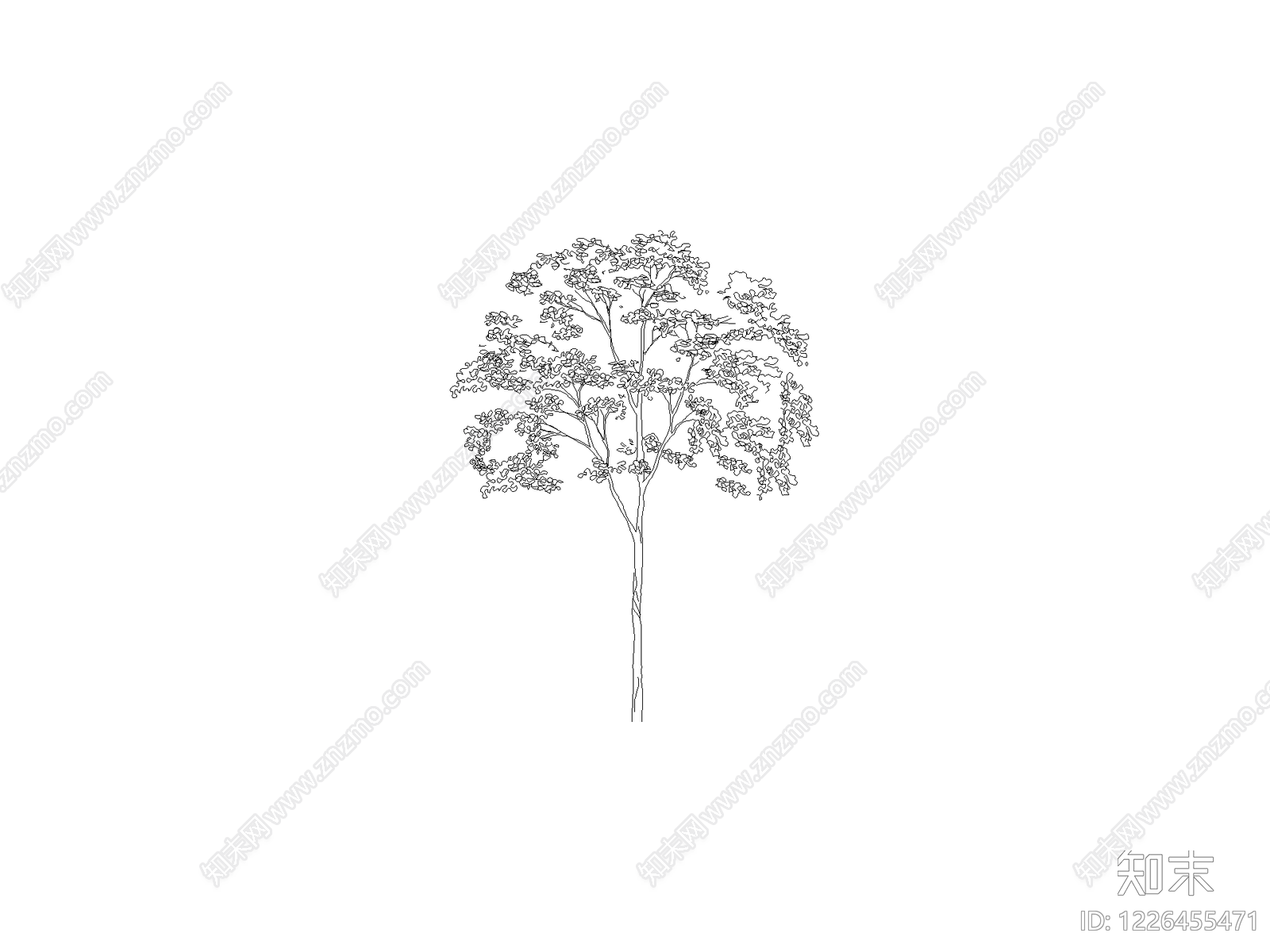 乔木种植CAD图纸