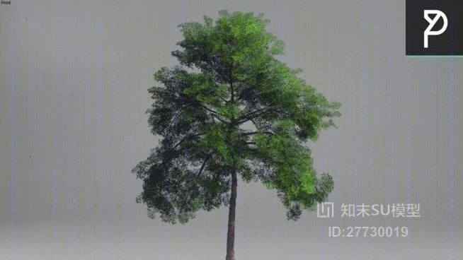树SU模型下载【ID:27730019】