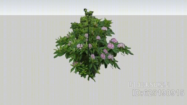 rhodondendronSU模型下载【ID:625190915】