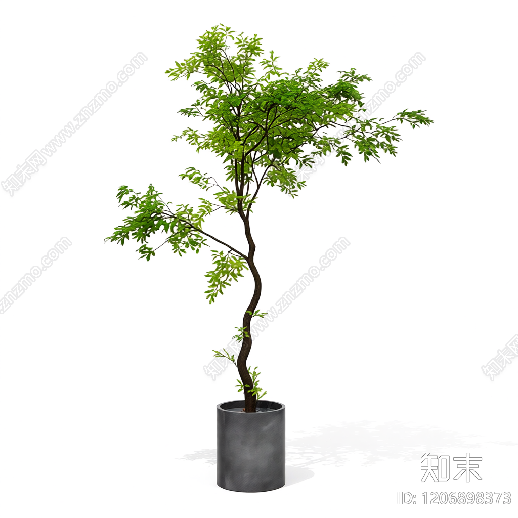 盆栽植物装饰3D模型下载【ID:1206898373】