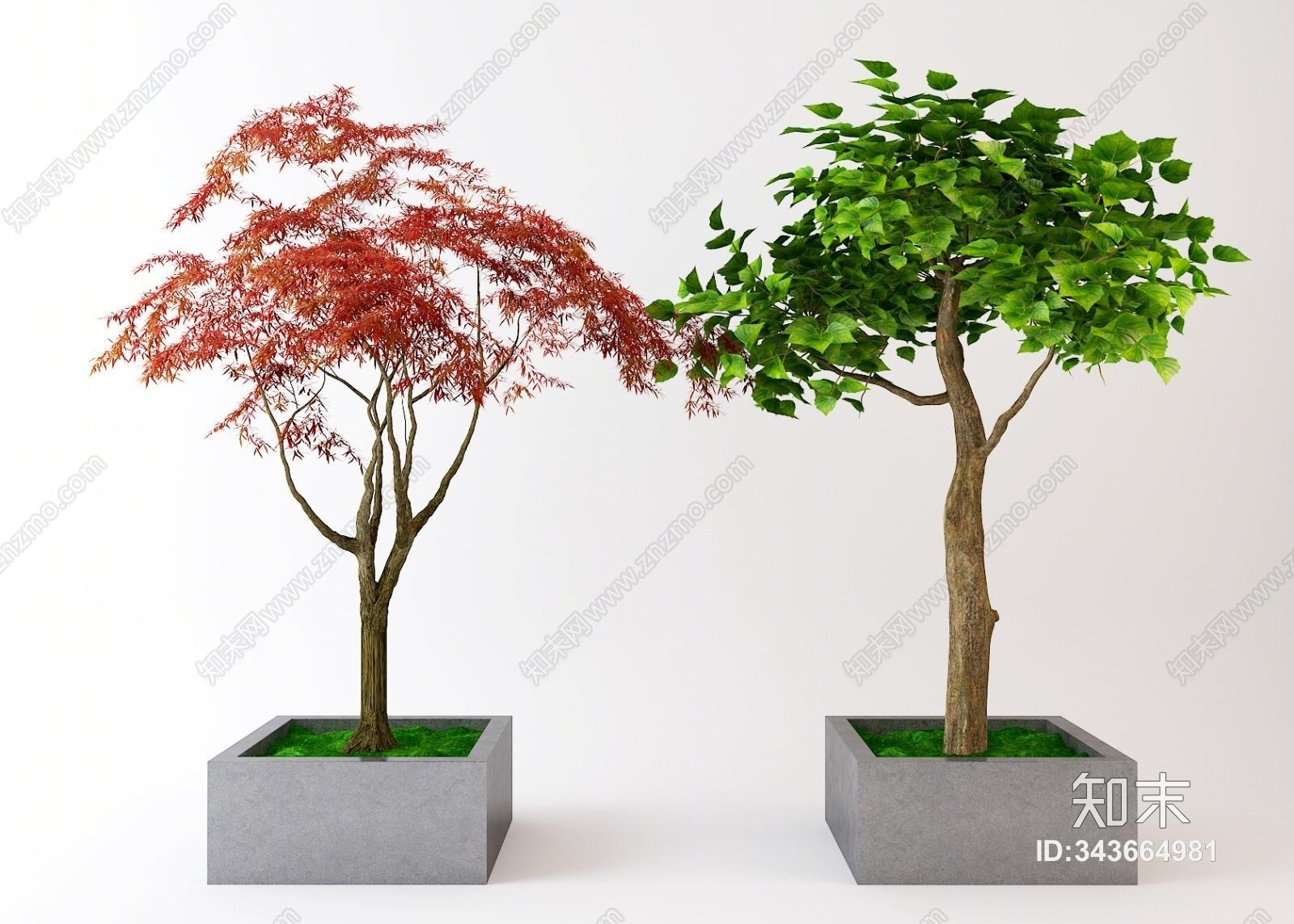 现代盆景3D模型下载【ID:343664981】