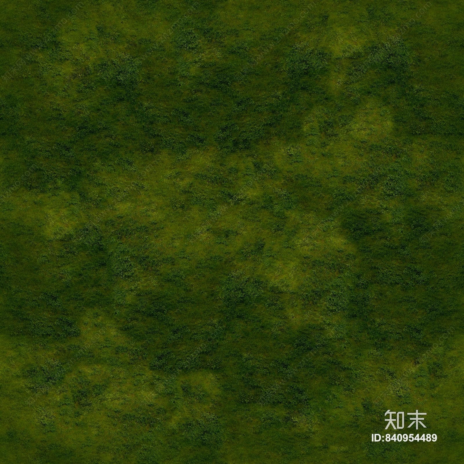 草坪草皮高清贴图贴图下载