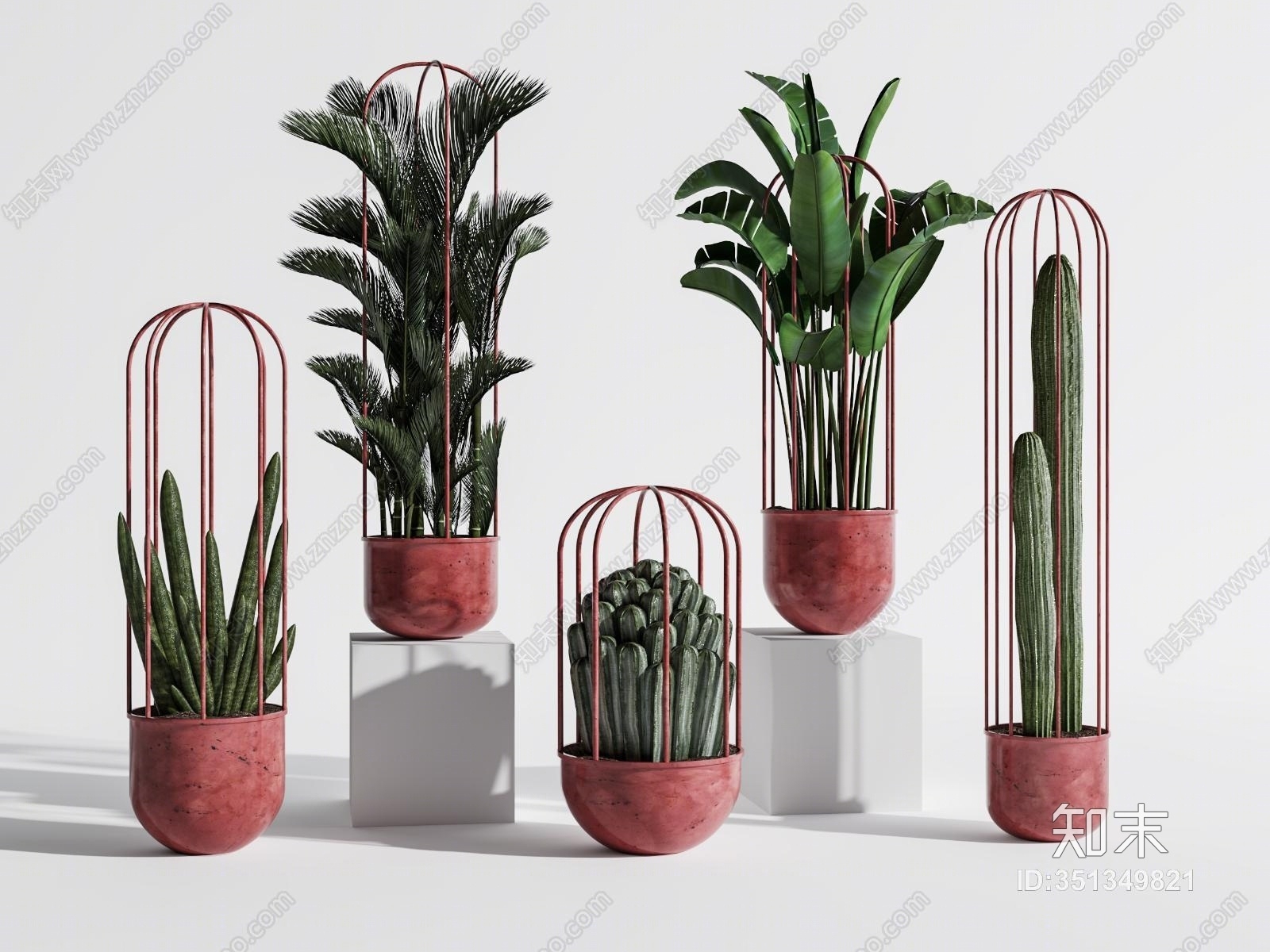 现代室内植物盆景组合3D模型下载【ID:351349821】