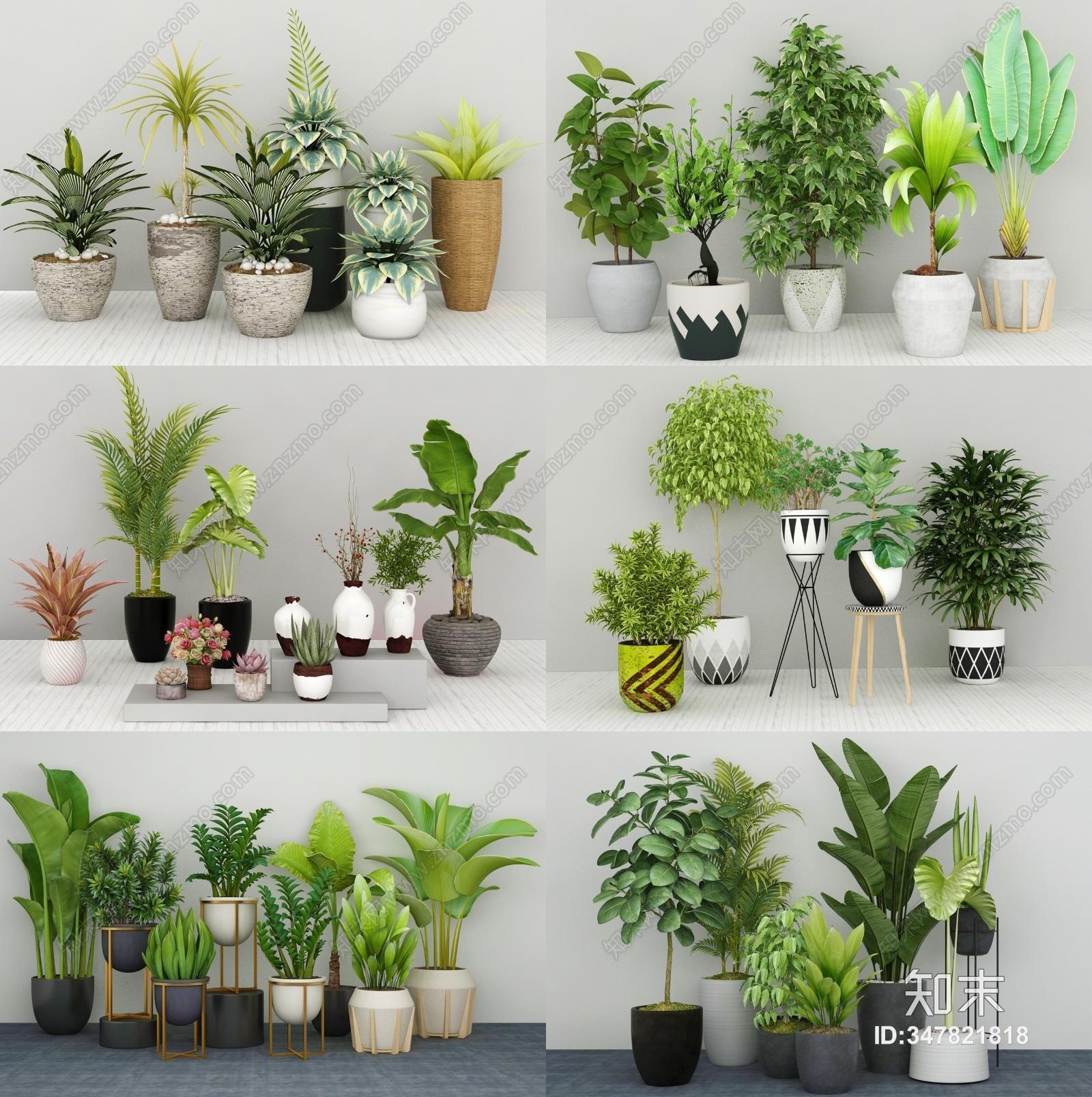 现代植物盆栽绿植组合3D模型下载【ID:347821818】_知末3d模型网