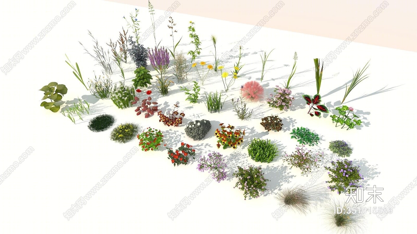 现代花草3D模型下载【ID:351015589】