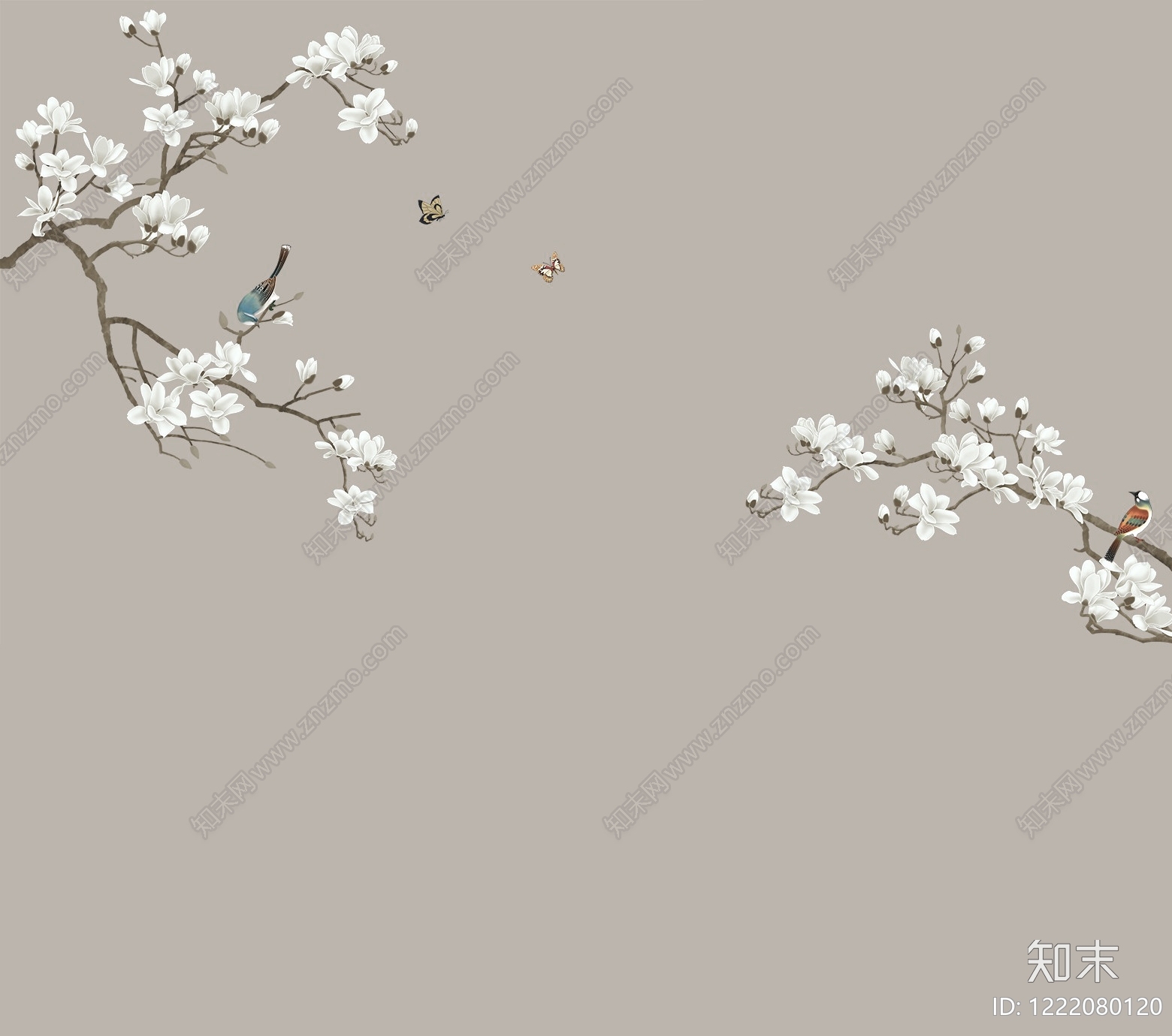 花鸟壁纸高清贴图材质