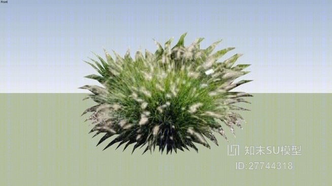 草SU模型下载【ID:27744318】