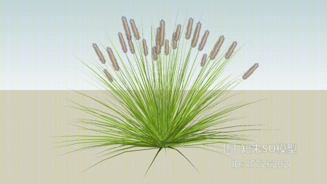 草SU模型下载【ID:47726202】